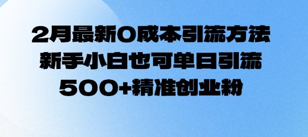 2月最新0成本引流方法，新手小白也可单日引流500+精准创业粉-阿卡帕尼智赚AI实验室