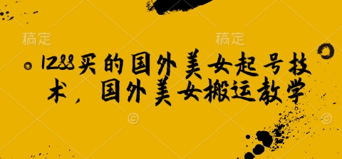 1288买的国外美女起号技术，国外美女搬运教学-阿卡帕尼智赚AI实验室
