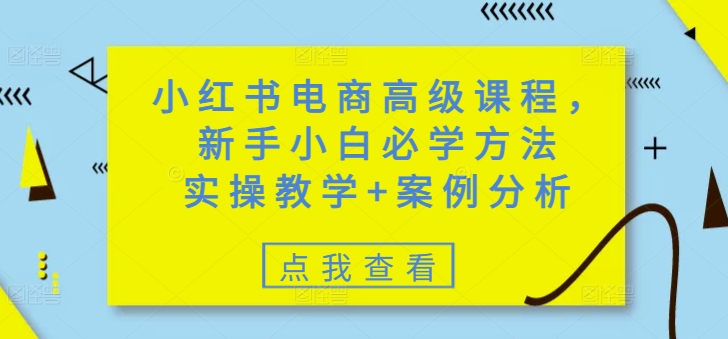 小红书电商高级课程，新手小白必学方法，实操教学+案例分析-阿卡帕尼智赚AI实验室