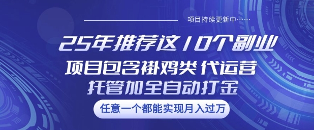 25年推荐这10个副业项目包含褂鸡类、代运营托管类、全自动打金类【揭秘】-阿卡帕尼智赚AI实验室