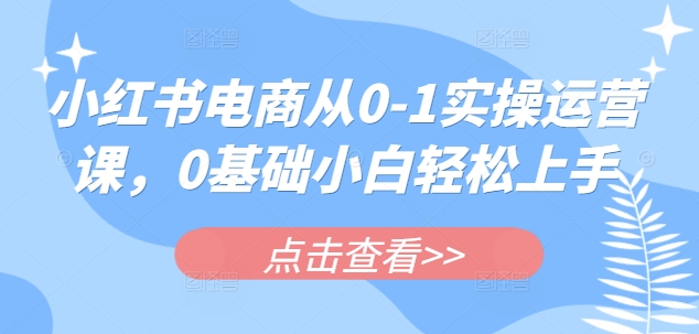 小红书电商从0-1实操运营课，0基础小白轻松上手-阿卡帕尼智赚AI实验室