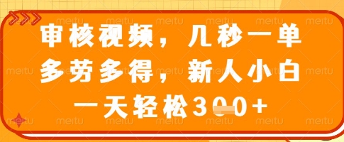 审核视频，几秒一单，多劳多得，新人小白一天轻松3张【揭秘】-阿卡帕尼智赚AI实验室
