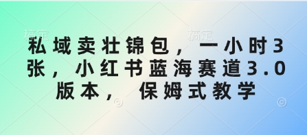 私域卖壮锦包，一小时3张，小红书蓝海赛道3.0版本， 保姆式教学-阿卡帕尼智赚AI实验室