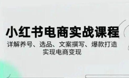 小红书从0-1实操课(2023-2025)，详解养号、选品、文案撰写、爆款打造实现电商变现-阿卡帕尼智赚AI实验室