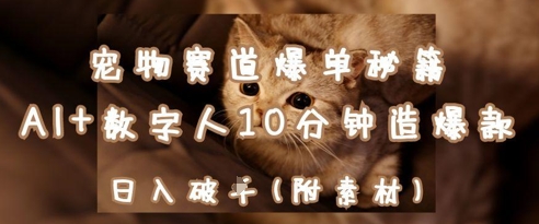 宠物赛道爆单秘籍：AI+数字人10分钟造爆款，日入1k-阿卡帕尼智赚AI实验室