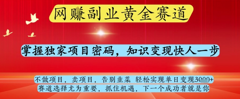 网创副业黄全赛道，掌握独家项目密码，知识变现快人一步，告别韭菜轻松实现单日变现1k+【揭秘】-阿卡帕尼智赚AI实验室