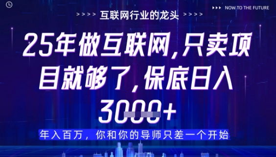 什么！25年你还在找项目做？风口早就变了，卖项目才是稳挣不赔【揭秘】-阿卡帕尼智赚AI实验室