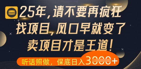 什么？25年你还在疯狂找项目做，醒醒吧，看完这些你全都懂了【揭秘】-阿卡帕尼智赚AI实验室