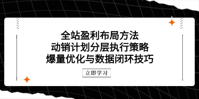 全站盈利布局方法：动销计划分层执行策略，爆量优化与数据闭环技巧-阿卡帕尼智赚AI实验室