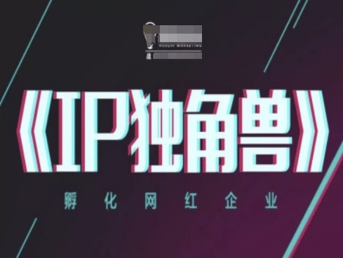 IP独角兽，孵化网红企业，ip教程-阿卡帕尼智赚AI实验室