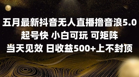 2025五月最新无人直播撸音浪单日产出5张+实操教程【揭秘】-阿卡帕尼智赚AI实验室